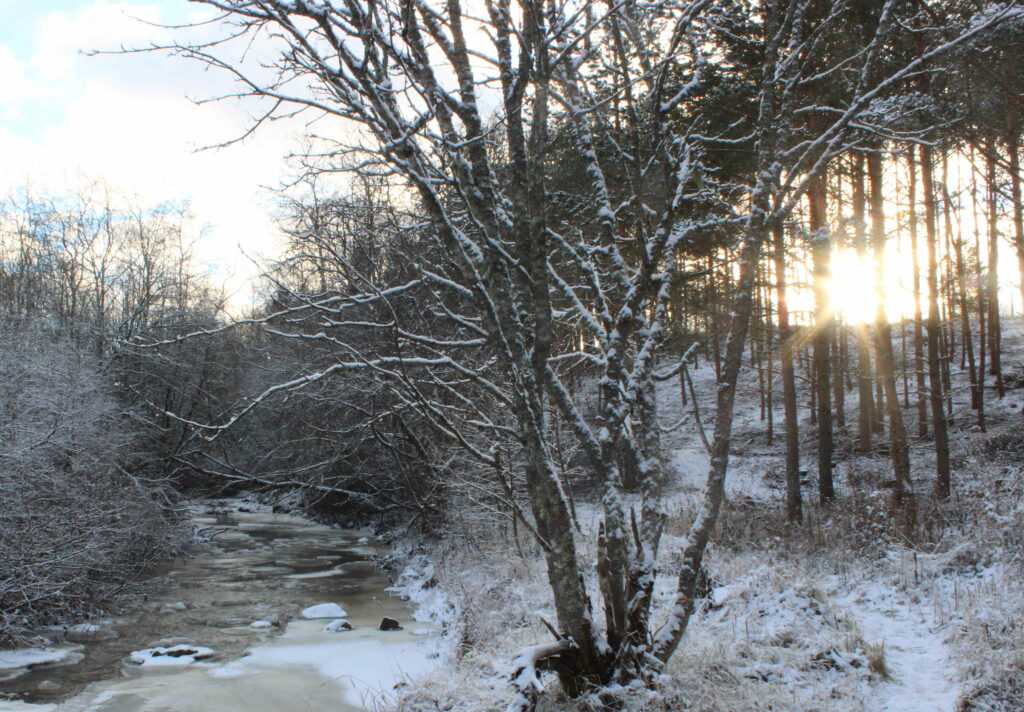 Vähäjoen maisemaa talvella auringon paisteessa.