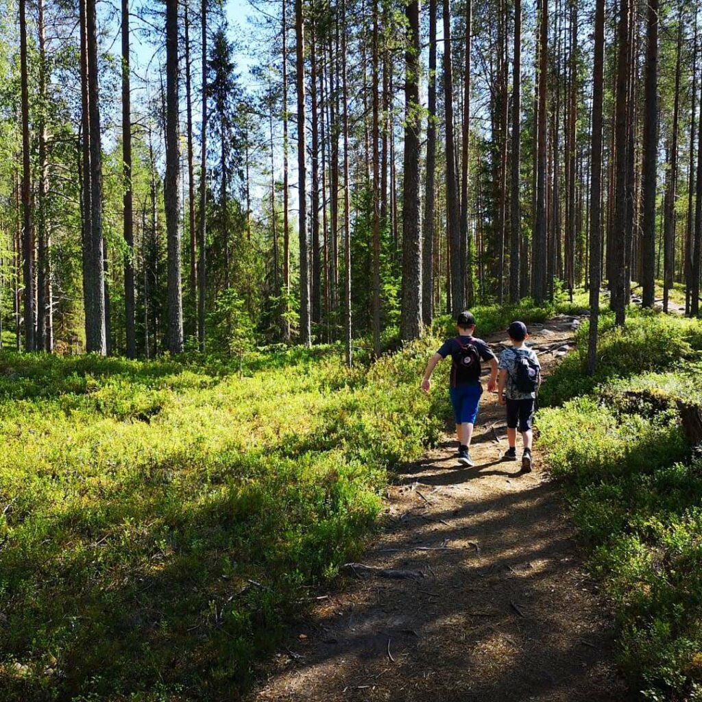 Pojat retkellä kangasmetsässä.