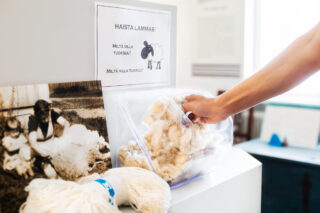 Käsityömuseo Miilassa voi omin käsin tunnustella miltä lampaan villa tuntuu