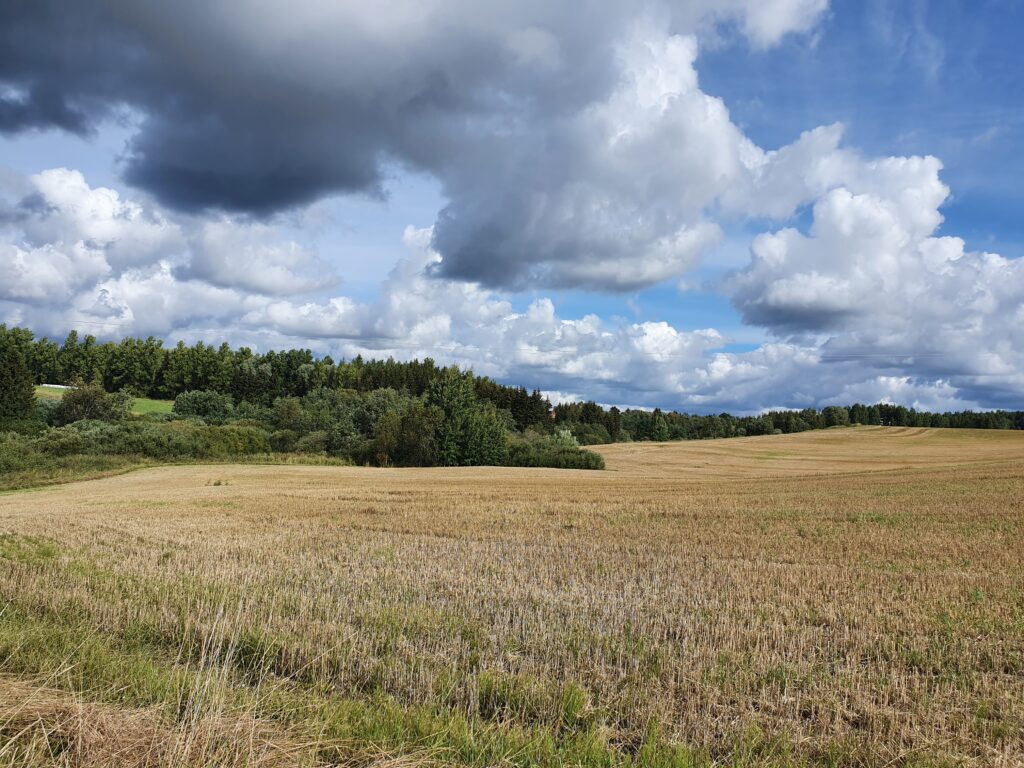 Pilvet lipuvat kesäisen peltomaiseman ylitse.