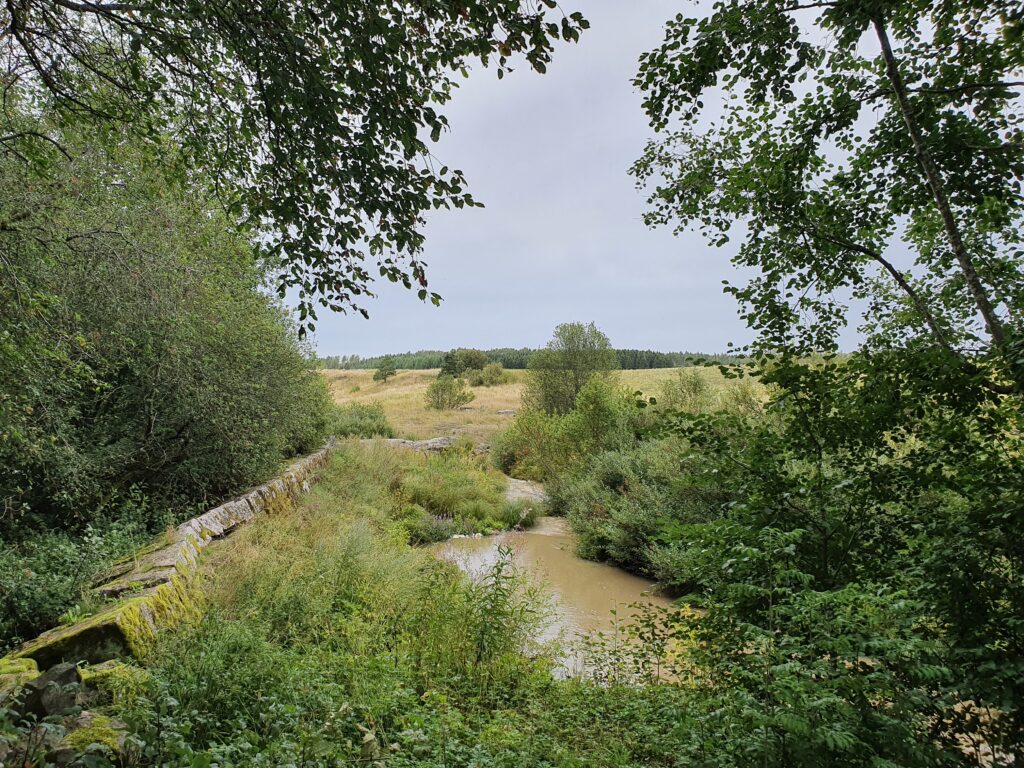 Kesäisen vehreä maisema Vähäjoelle.