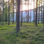 Parantolan polkua kulkevalle tarjotaan sekä kulttuuri-, että luontoelämys.
