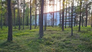 Parantolan polkua kulkevalle tarjotaan sekä kulttuuri-, että luontoelämys.