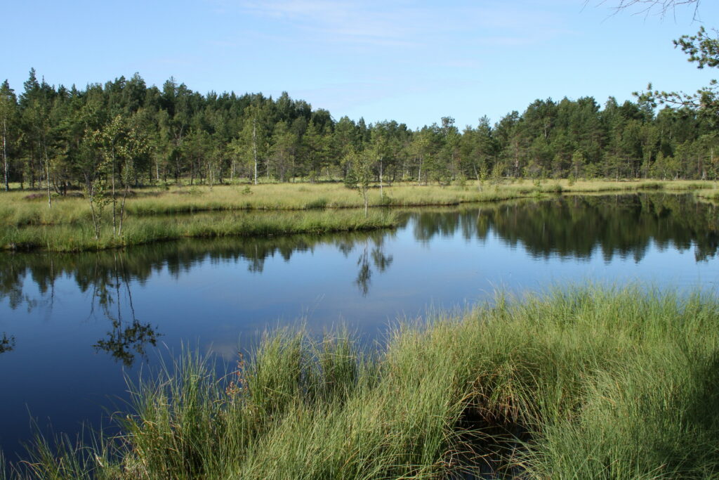 Paimion luontopolulla on vaihtelevat maisemat. Suolampi tarjoaa hienon elämyksen.