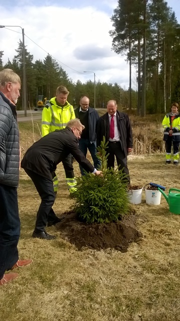 Suomi 100 vuotta -alueelle istutettiin yksi kuusi, jonka saapui istuttamaan ympäristöministeri Kimmo Tiilikainen.