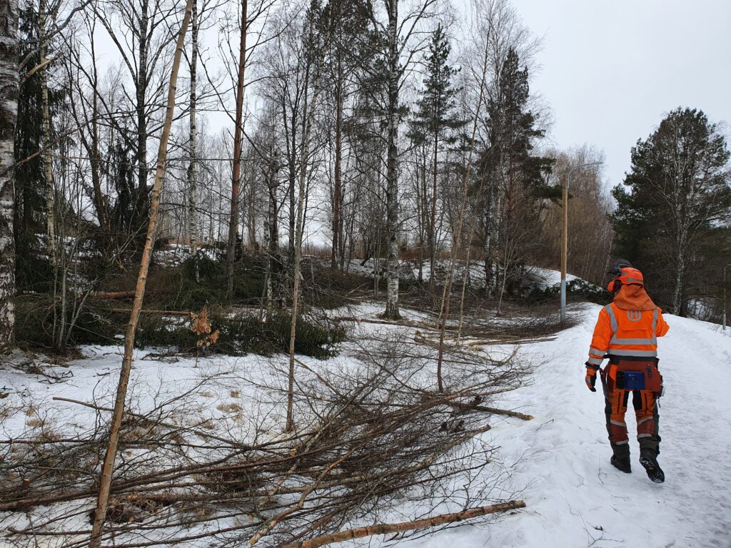 Metsuri töissä talvisessa maisemassa.