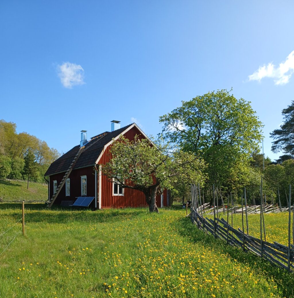 Punainen talo, niittyjä ja riukuaita kesäisessä maisemassa.