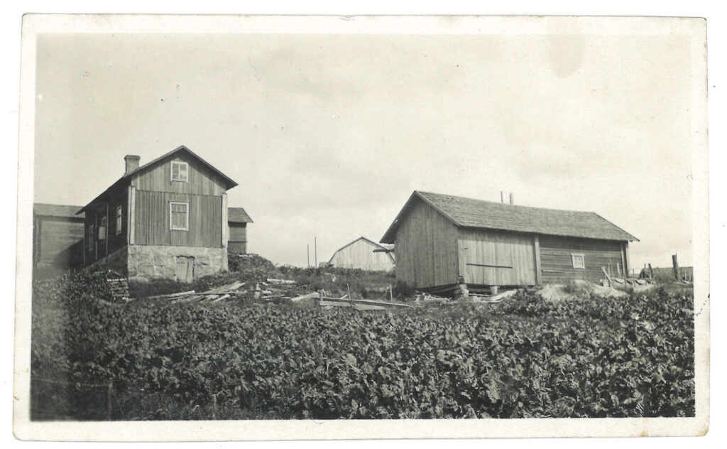 Mustavalkoisessa kuvassa pienviljelystilan rakennuksia.