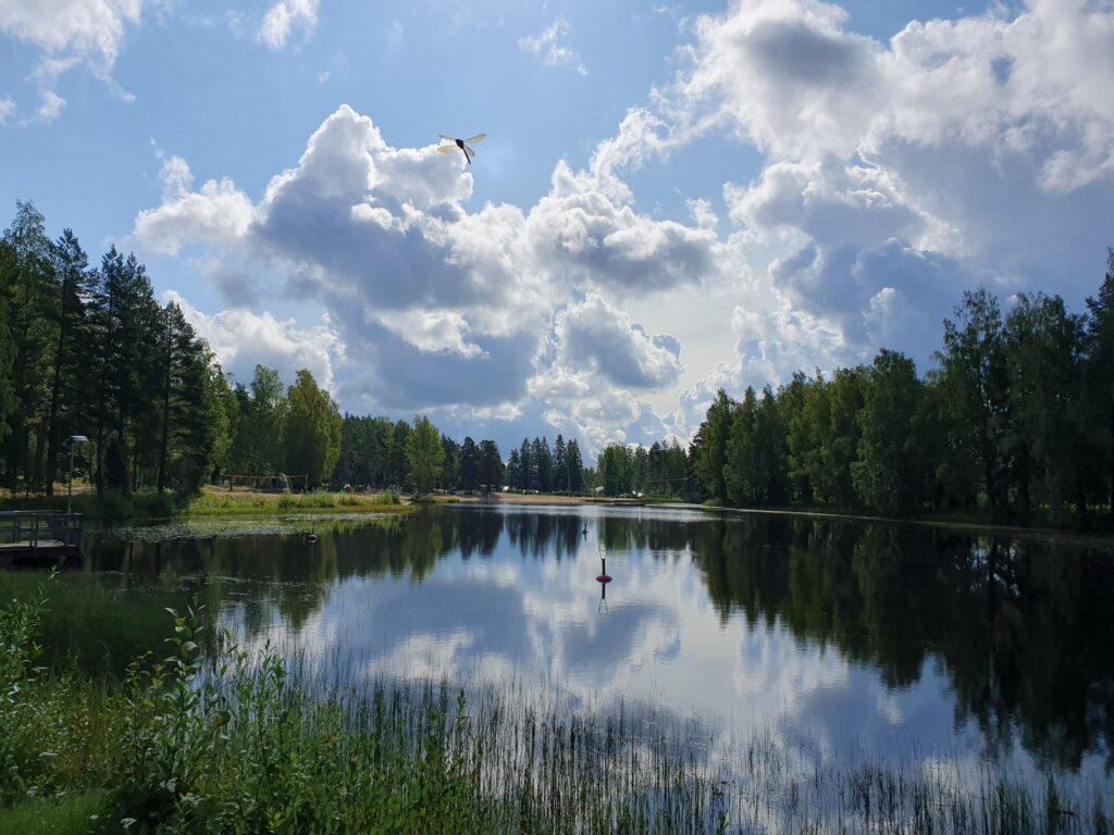 Ankkalammen pinnasta heijastuvat poutapilvet ja sudenkorento lentää lammen yllä.