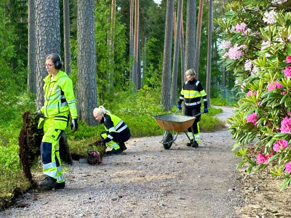 Kolme henkilöä ketavihreissä työasuissa työskentelemässä metsäisen polun varrella. Yksi työntekijä työntää kottikärryjä, kaksi istuttaa kunttaa. Kuva: Jukka Oksa.