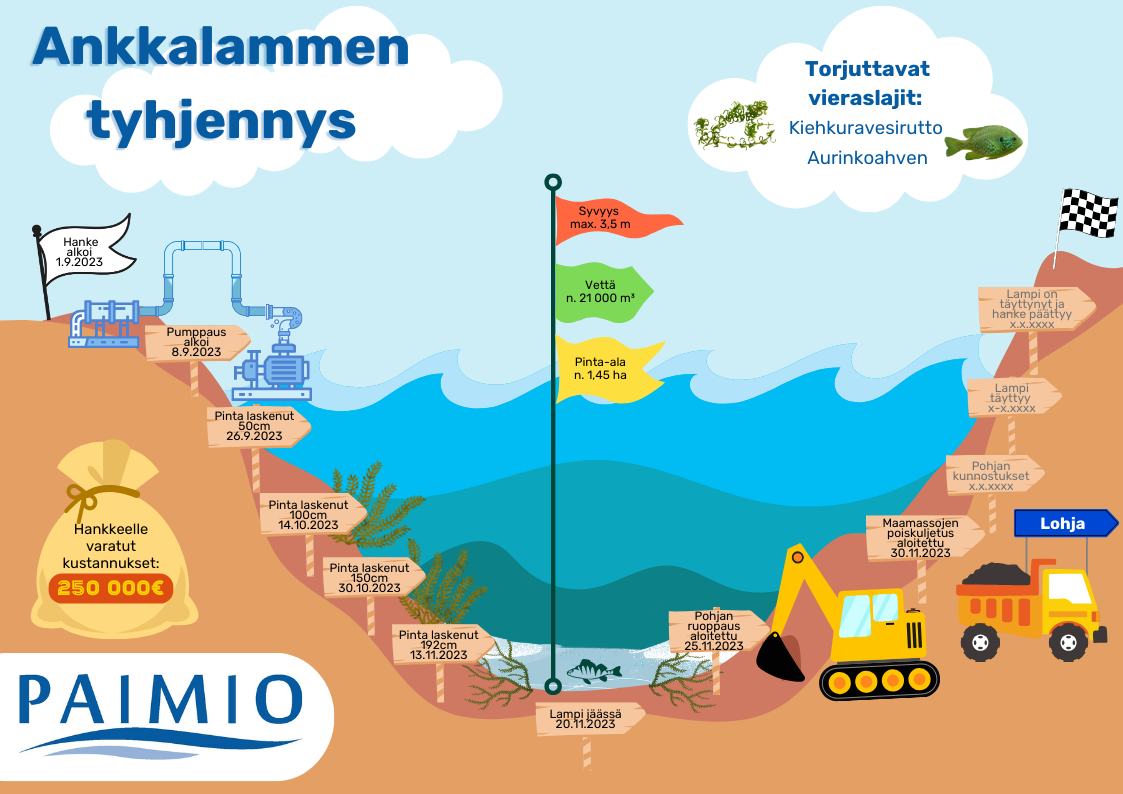 Kuvitettu aikajanakuva Ankkalammmen tyhjennyksestä. Kuvassa esitetään visuaalisesti lammen tyhjentyminen ja hankkeen toimien järjestys. 