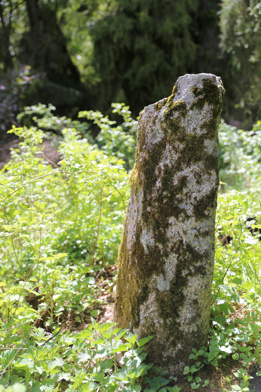 Kivinen bautakivi pystyssä puistomaisessa ympäristössä.