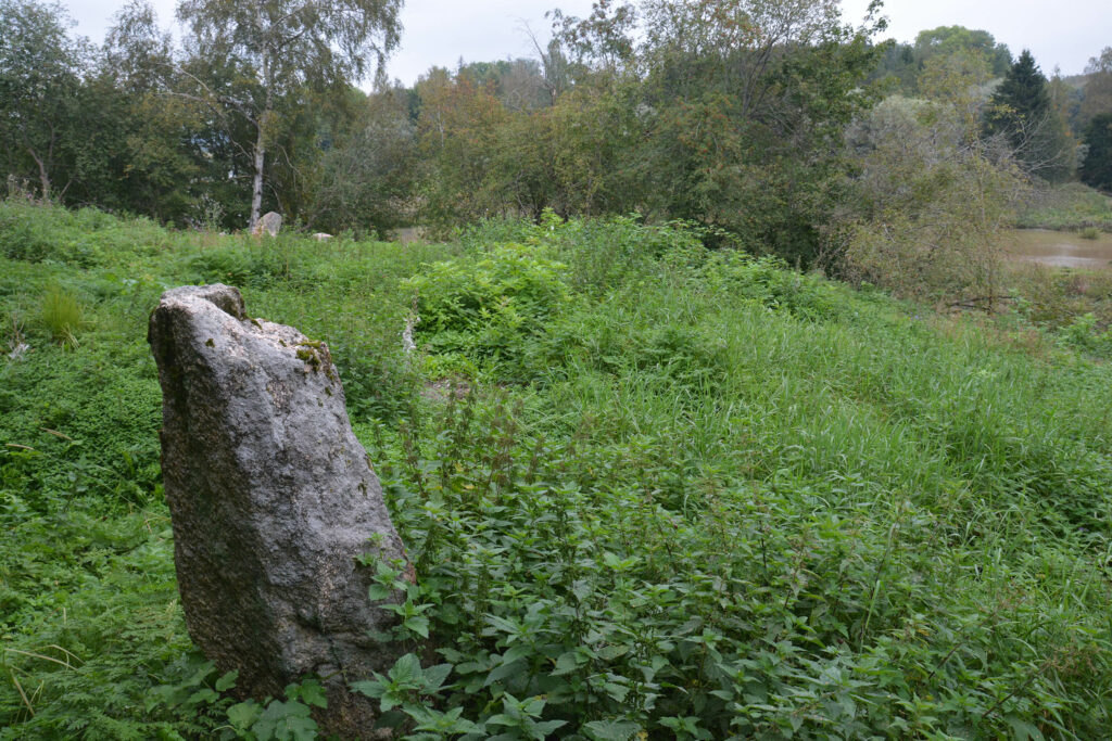Vehreällä rinnealueella etualalla kivi.