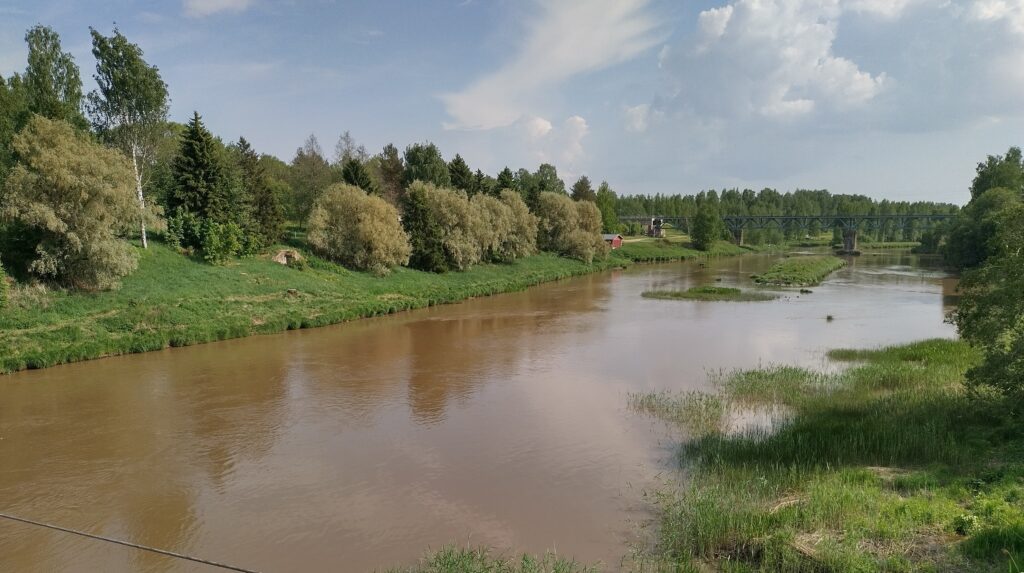 Keväinen kuva Paiminjoelta, jonka keskellä on saari.