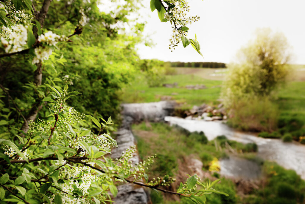 Keväinen jokipuistonäkymä