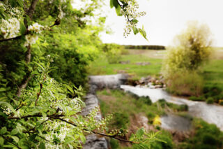 Keväinen jokipuistonäkymä