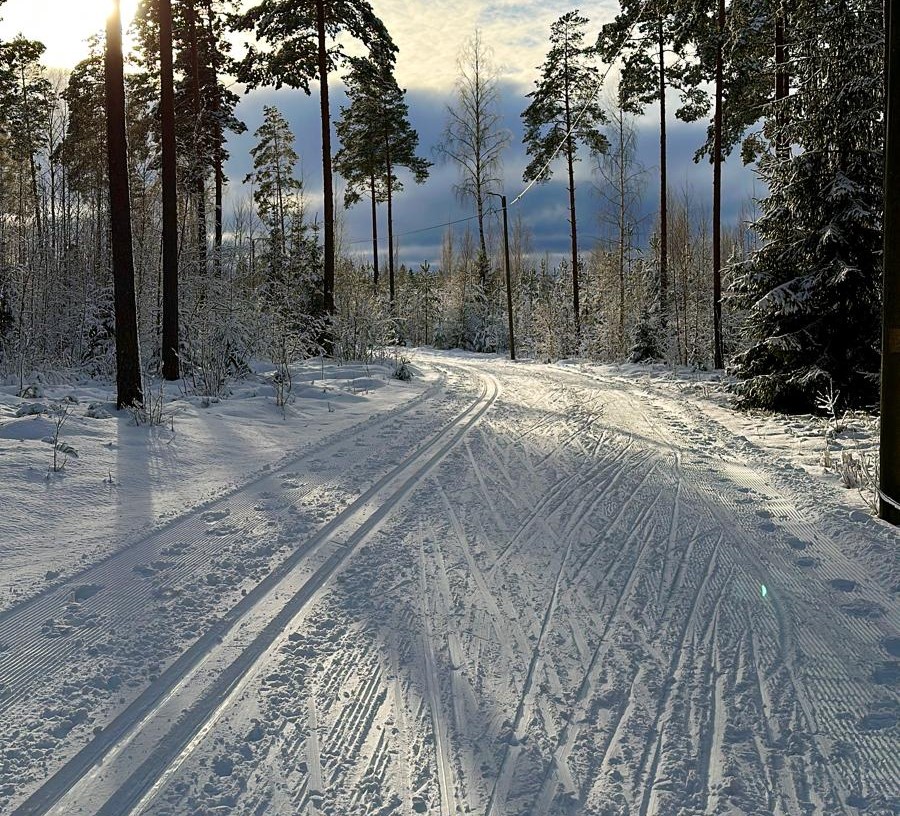 Talvinen maisemakuva Rivonmäen ladulta.