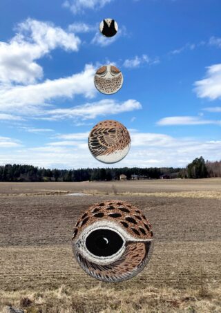 Taustalla peltomaisema, etualalla lintuihin liittyviä pienoiskuvia