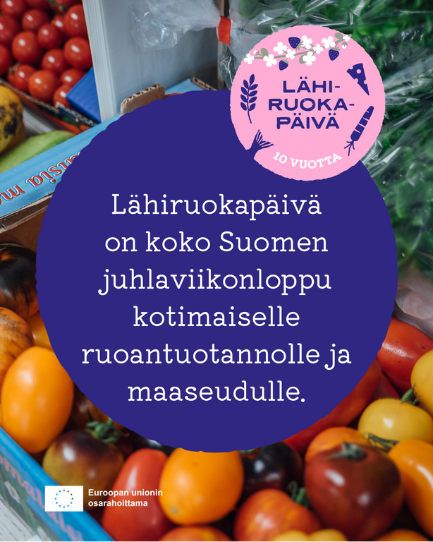 Erilaisia tuoreita hedelmiä ja kasviksia sekä perustiedot Lähiruokapäivän sisällöstä.