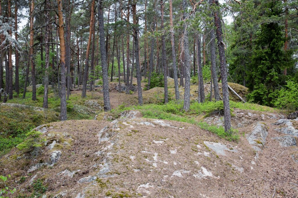 Nakolinna Paimio.