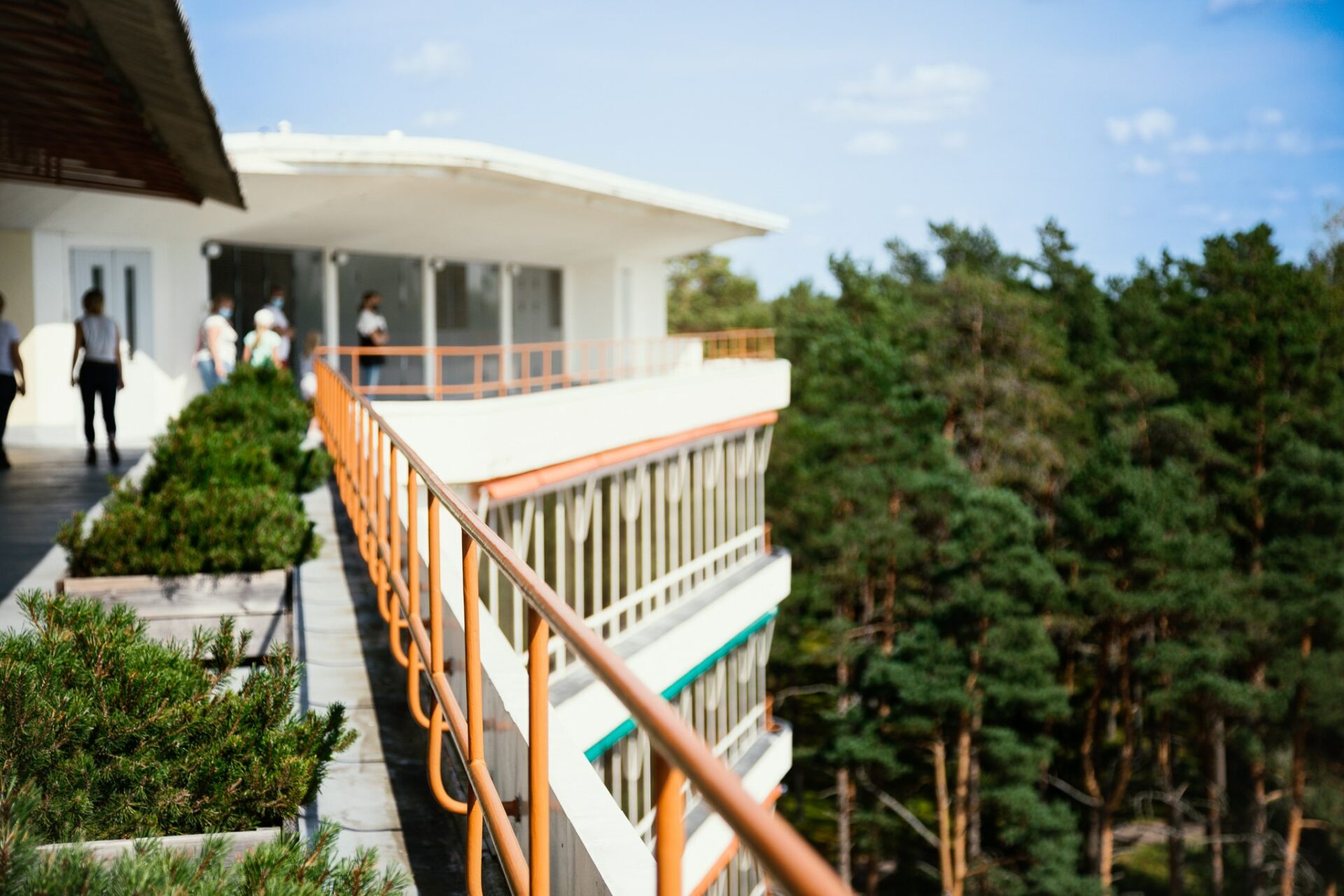 Mäntymetsän keskellä olevan korkean rakennuksen avoimella kattotasanteella kävelemässä ihmisi'. Etualalla pienoismäntyjä kasvatuslaatikoissa sekä oranssinvärinen kaide.